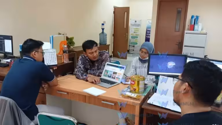 tim jasa website MLM murah