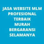 Jasa Pembuatan Website MLM Makassar